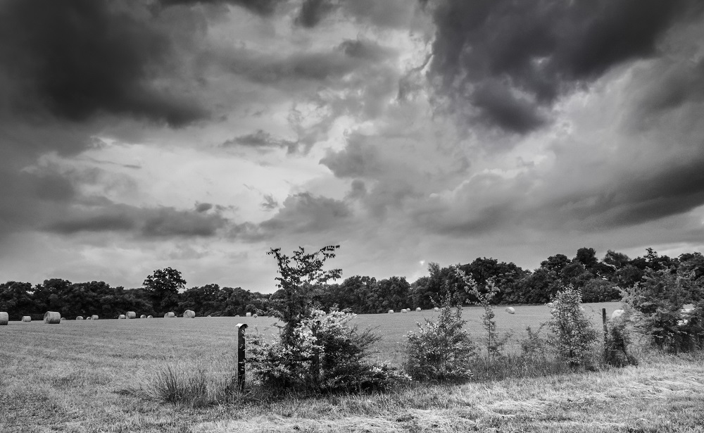 _DSC9698-Edit-2.jpg