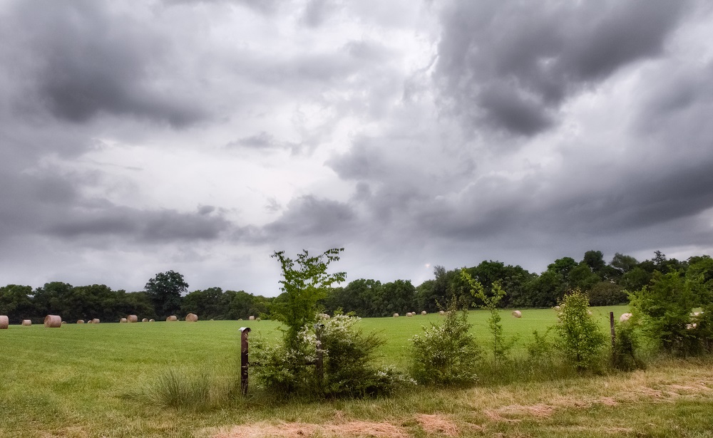 _DSC9698-Edit-3.jpg
