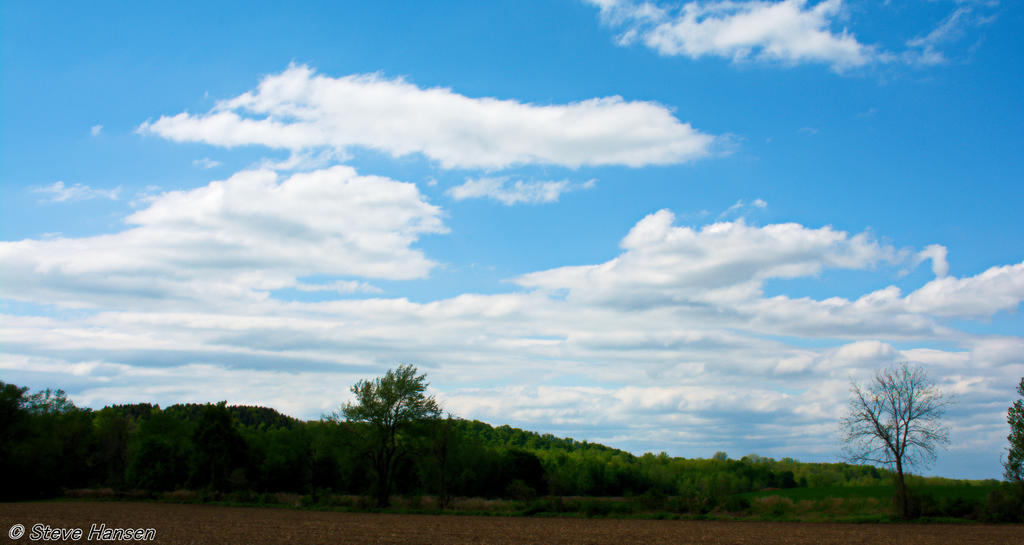 _DSC9700.jpg