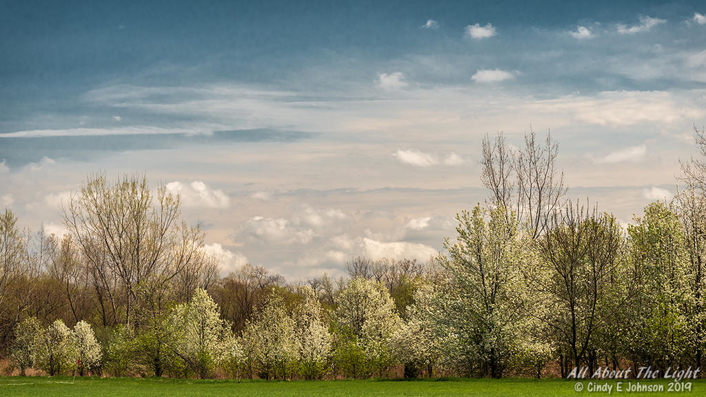 _DSC9789 low re.jpg