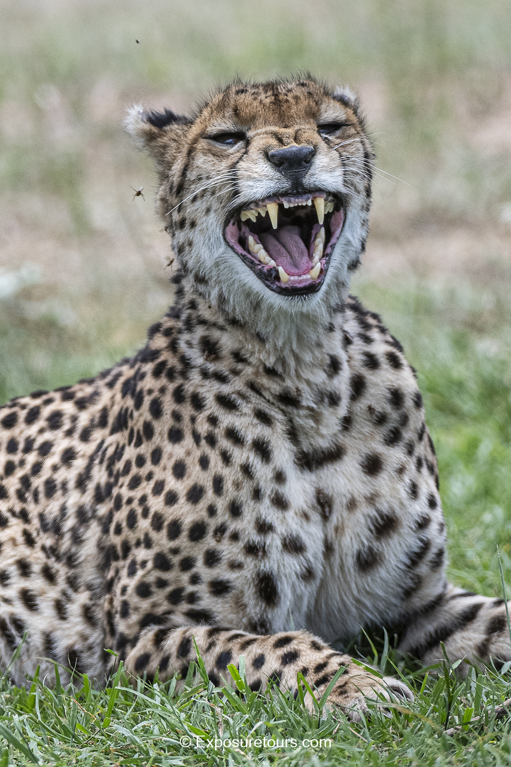 _DSC9829-Edit.JPG