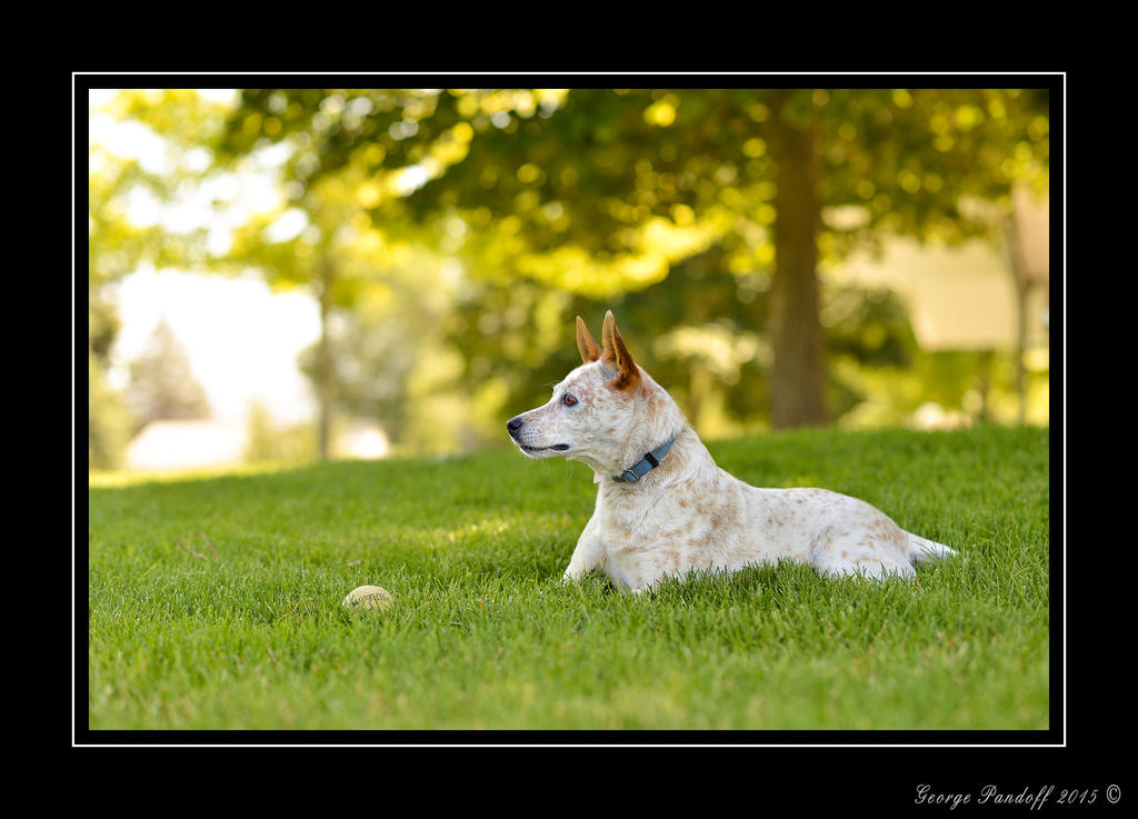 _DSC_1646_Web_.jpg