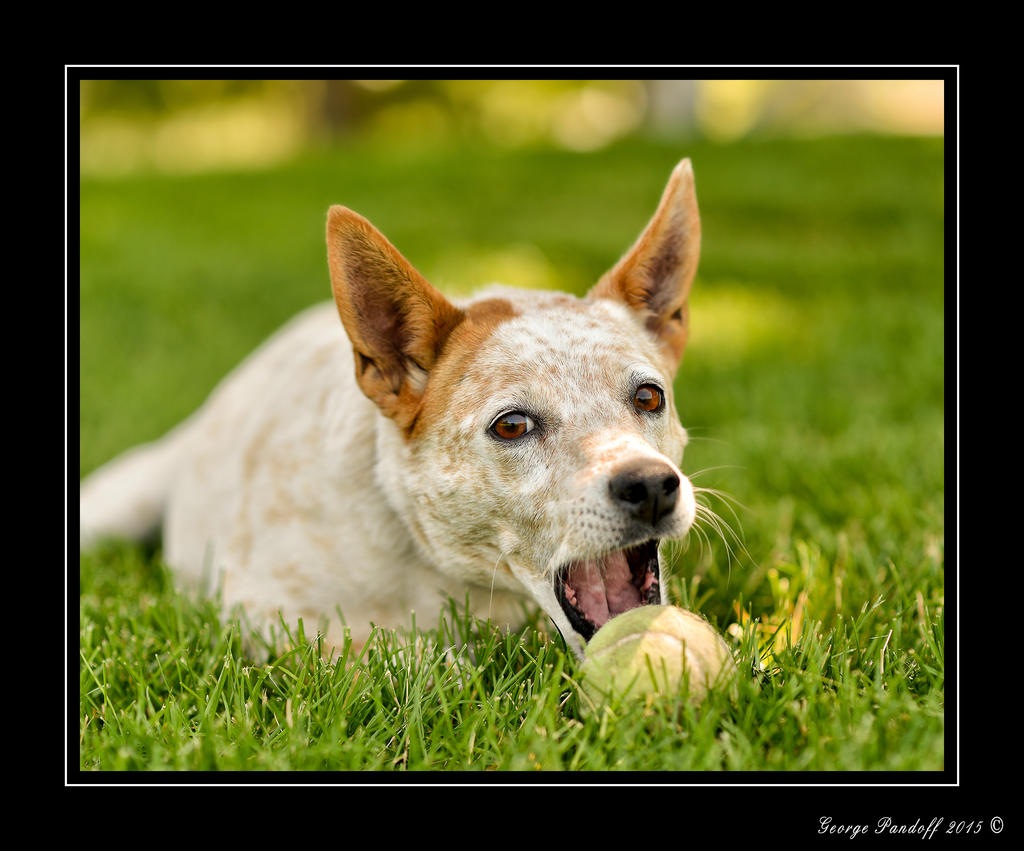 _DSC_1656_Web_.jpg