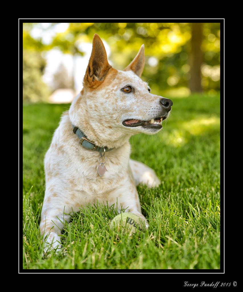 _DSC_1689_Web_.jpg