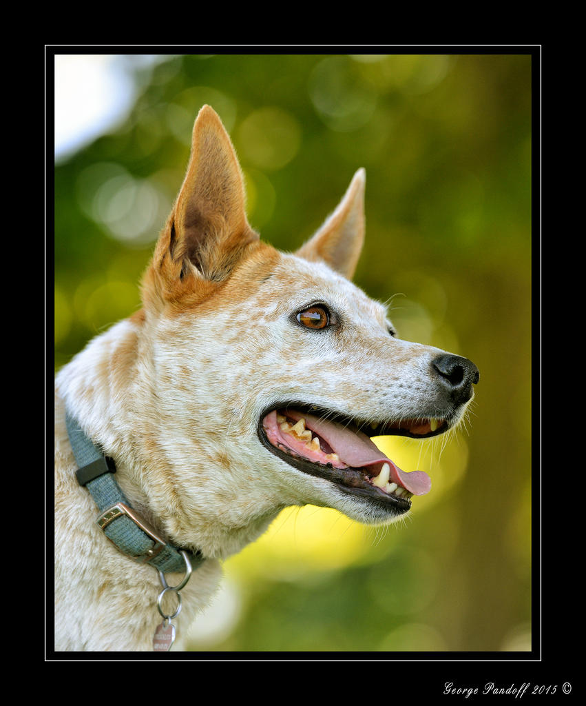 _DSC_1694_Web_.jpg