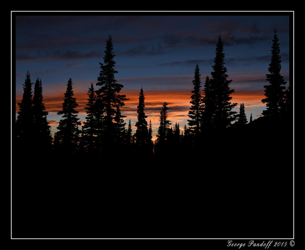 _DSC_3214.jpg