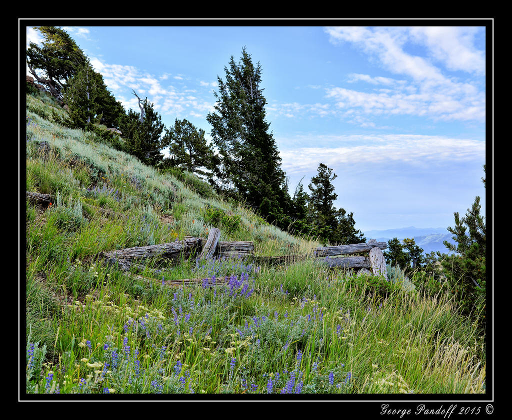 _DSC_3265.jpg