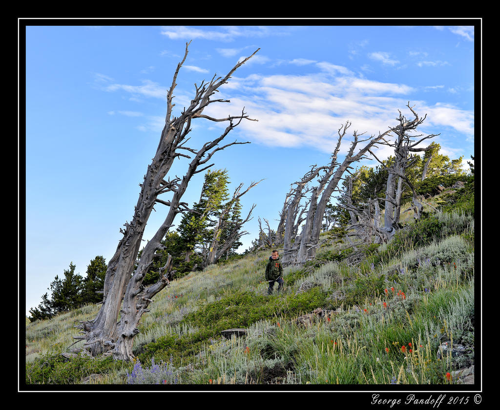 _DSC_3283.jpg