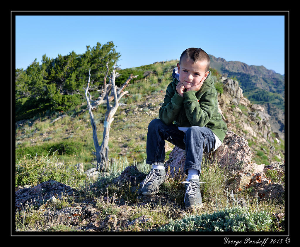 _DSC_3304.jpg