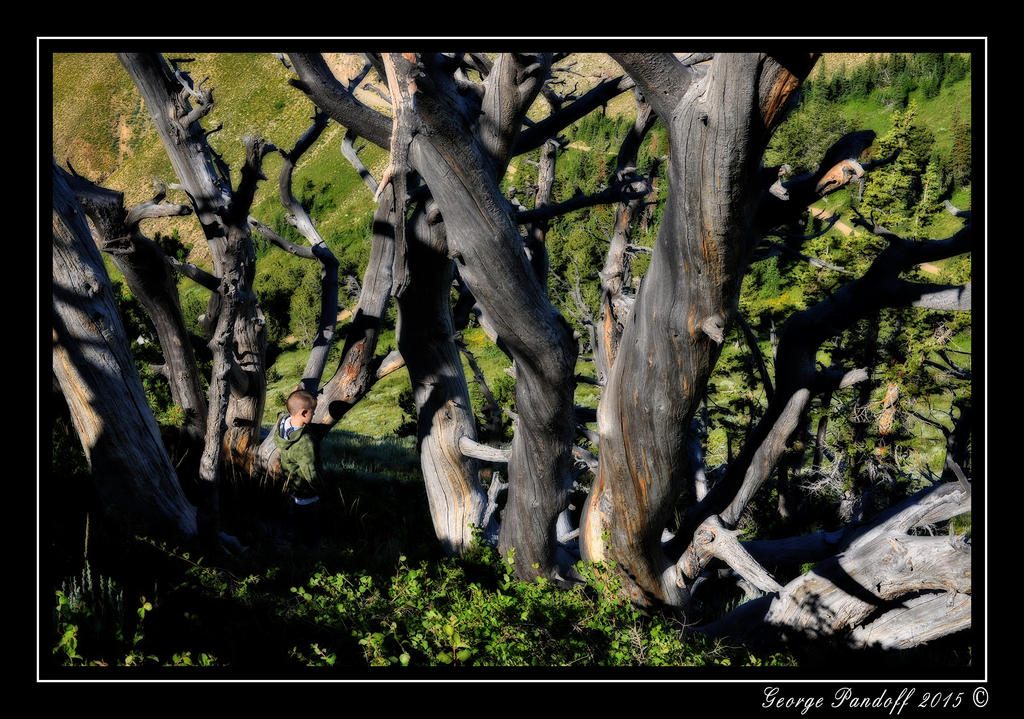 _DSC_3354.jpg