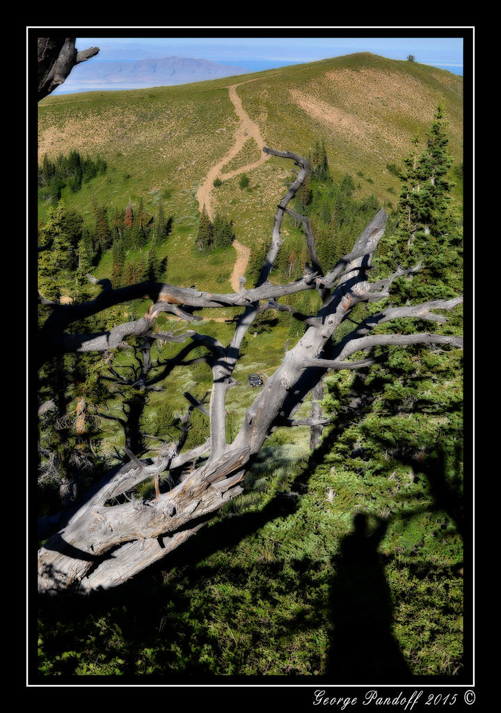 _DSC_3356.jpg