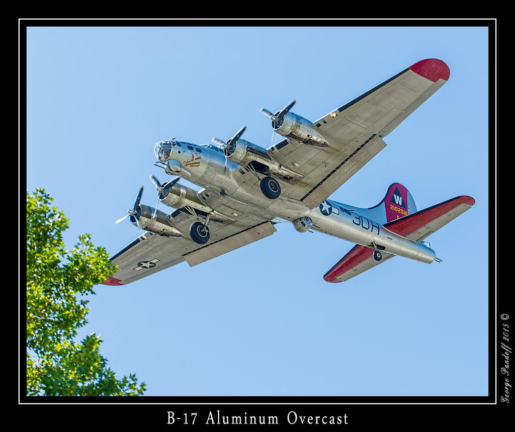 _DSC_4853_Web.jpg