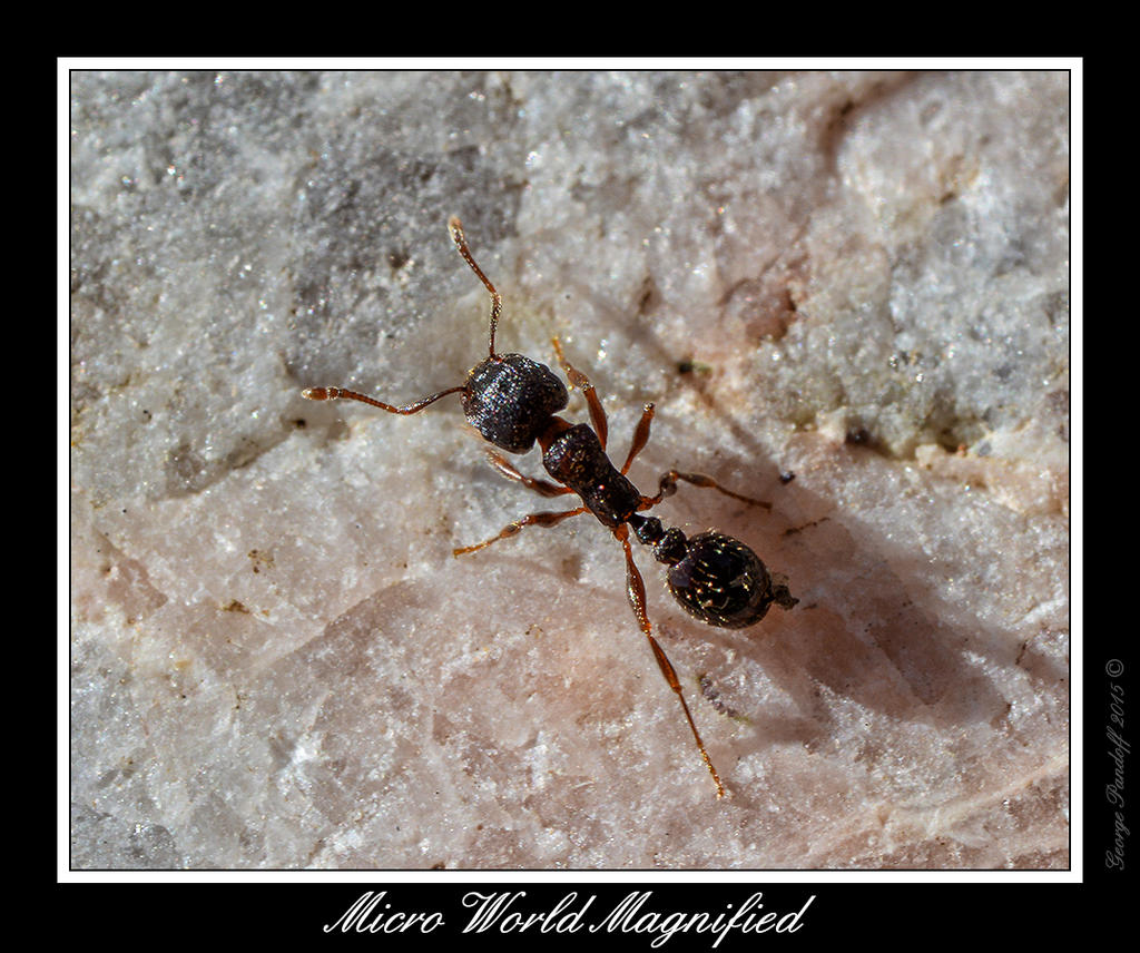 _DSC_7364_Web.jpg