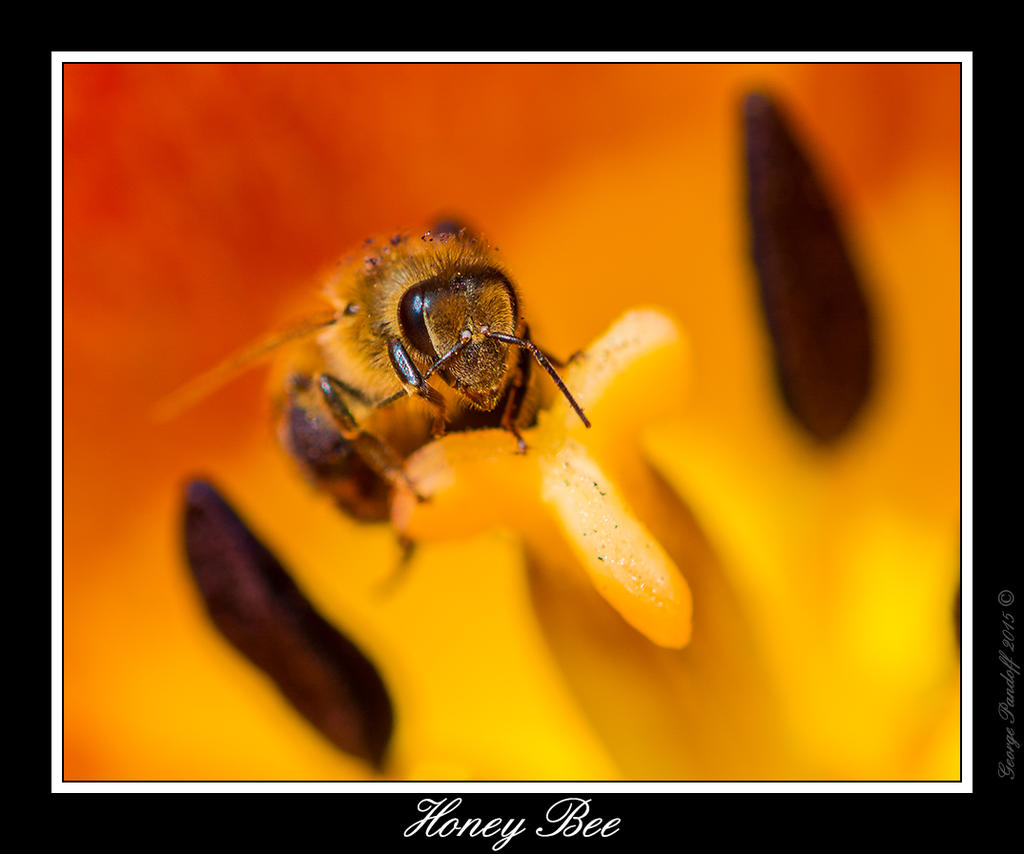 _DSC_7440_Web.jpg