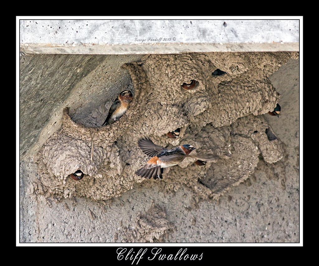 _DSC_7674_Web.jpg