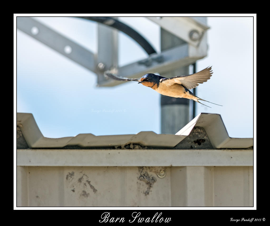 _DSC_7772_Web.jpg