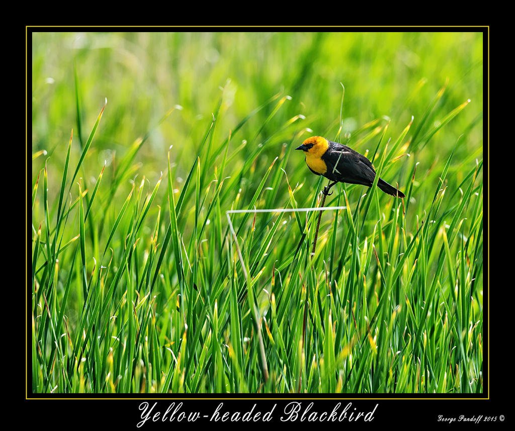 _DSC_7927_Web.jpg