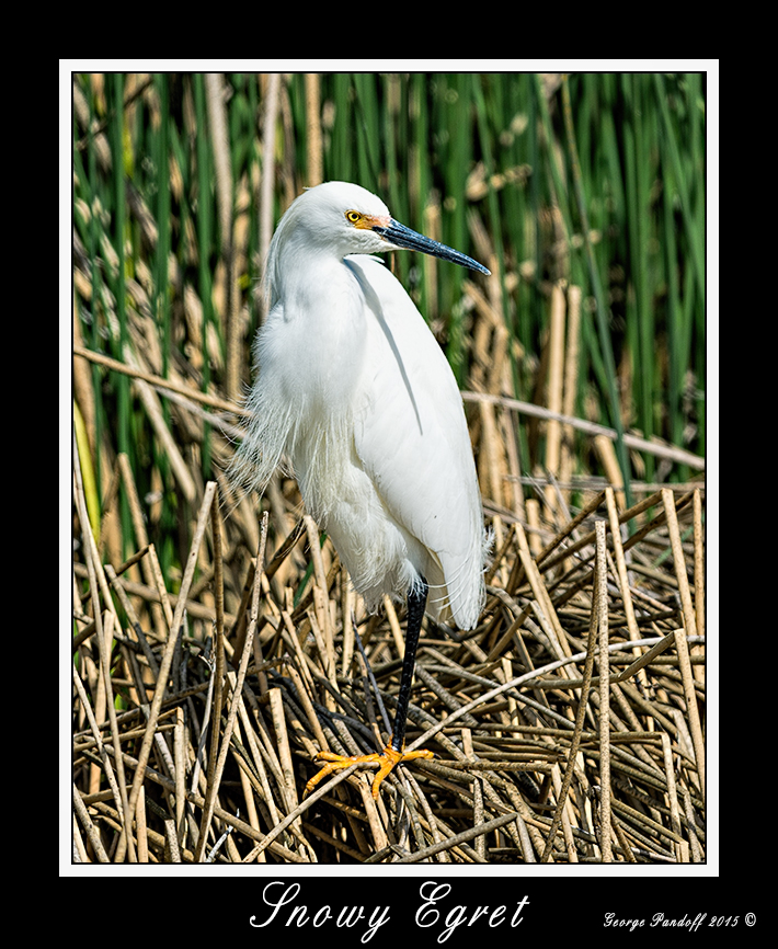 _DSC_7955_Web.jpg