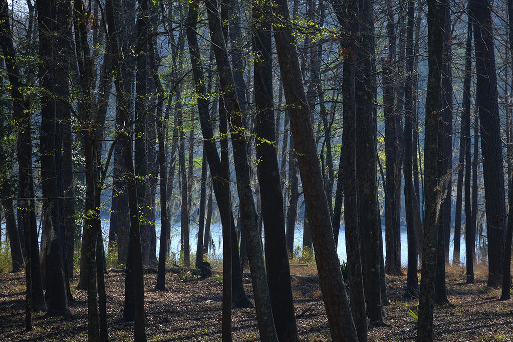 _DSF6390.jpg