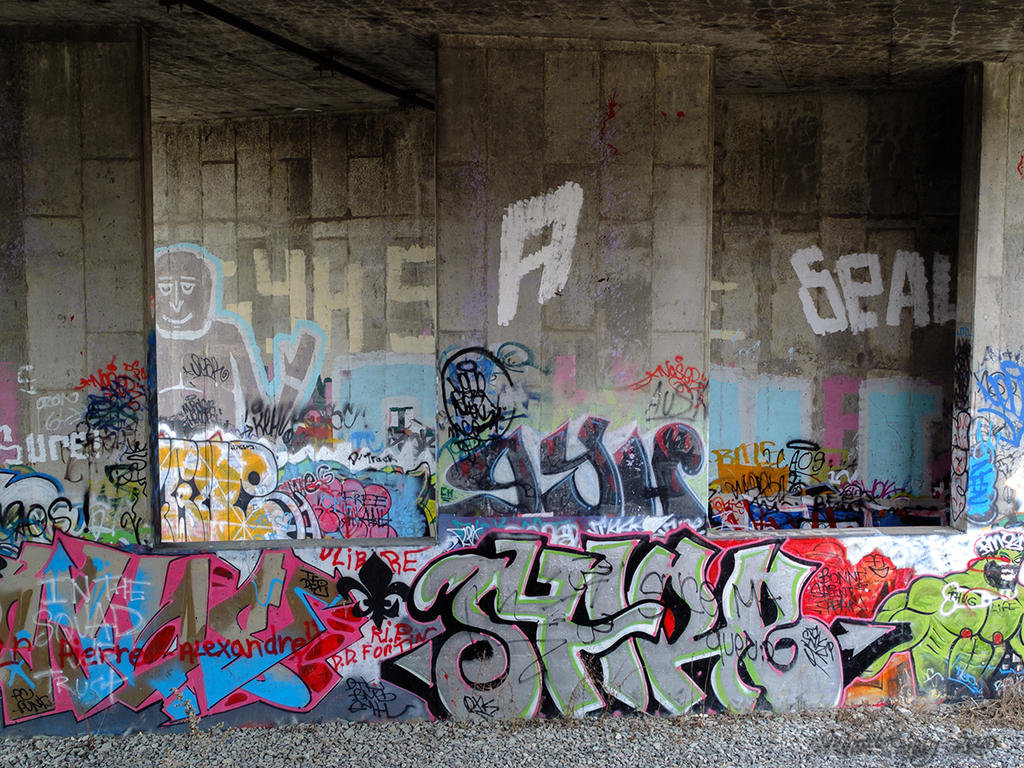 _DSF7189.jpg