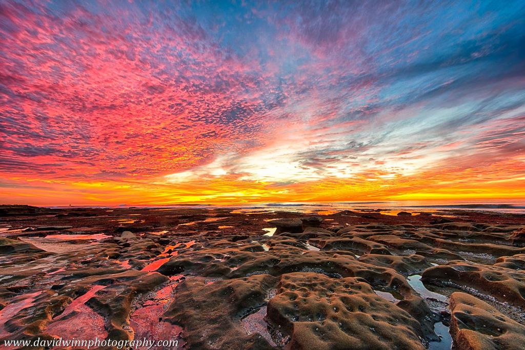 _DW13737_HDR-V-D.jpg