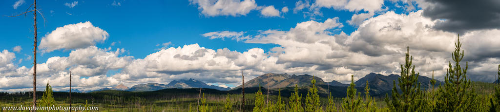 _DW15277-pan-VShrpD.jpg