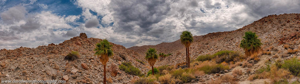 _DW16783_HDR-Pan-VShrpDis.jpg
