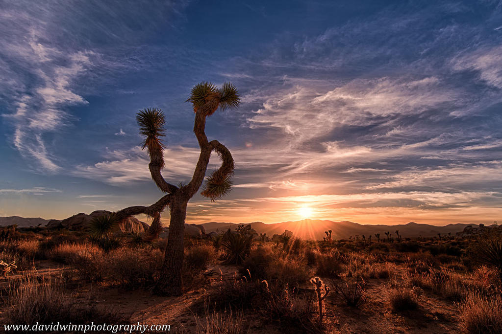 _DW19796_HDR-V-crop2-sat2-V-D.jpg