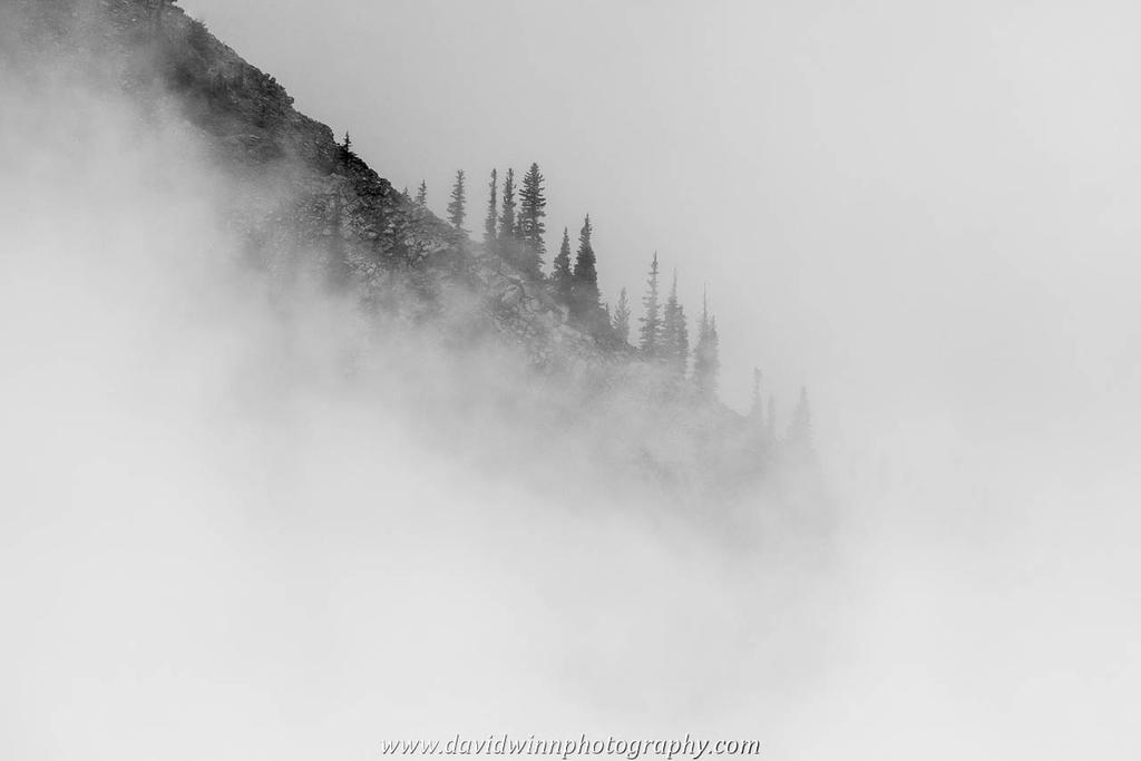 _DWE8020-4.jpg
