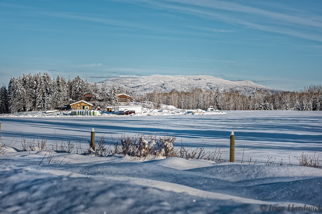 _IH80778_DxO.jpg