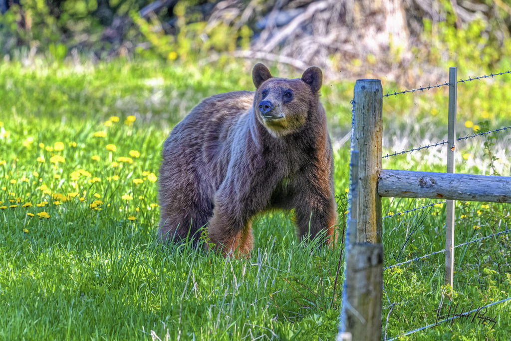 _IVA8893_DxO-1.jpg