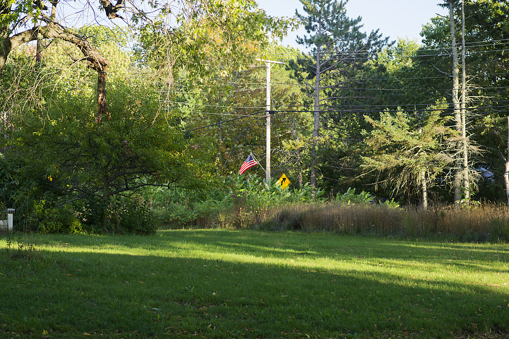 _MLP0292_DxOtt75f14.jpg