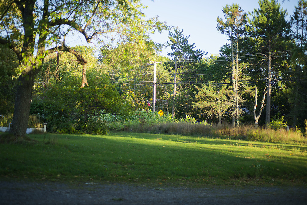 _MLP0312_DxOpx50f1.7.jpg