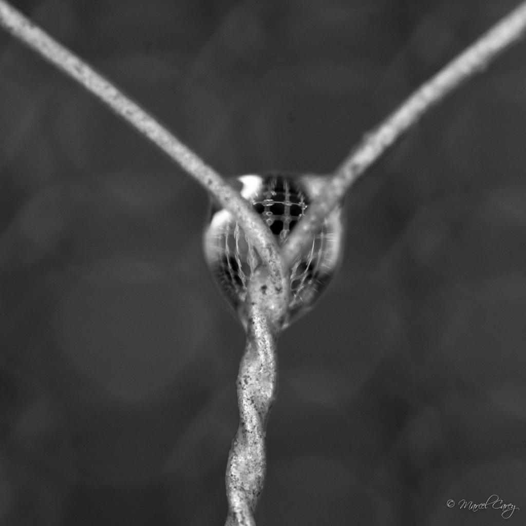 _N713784.jpg