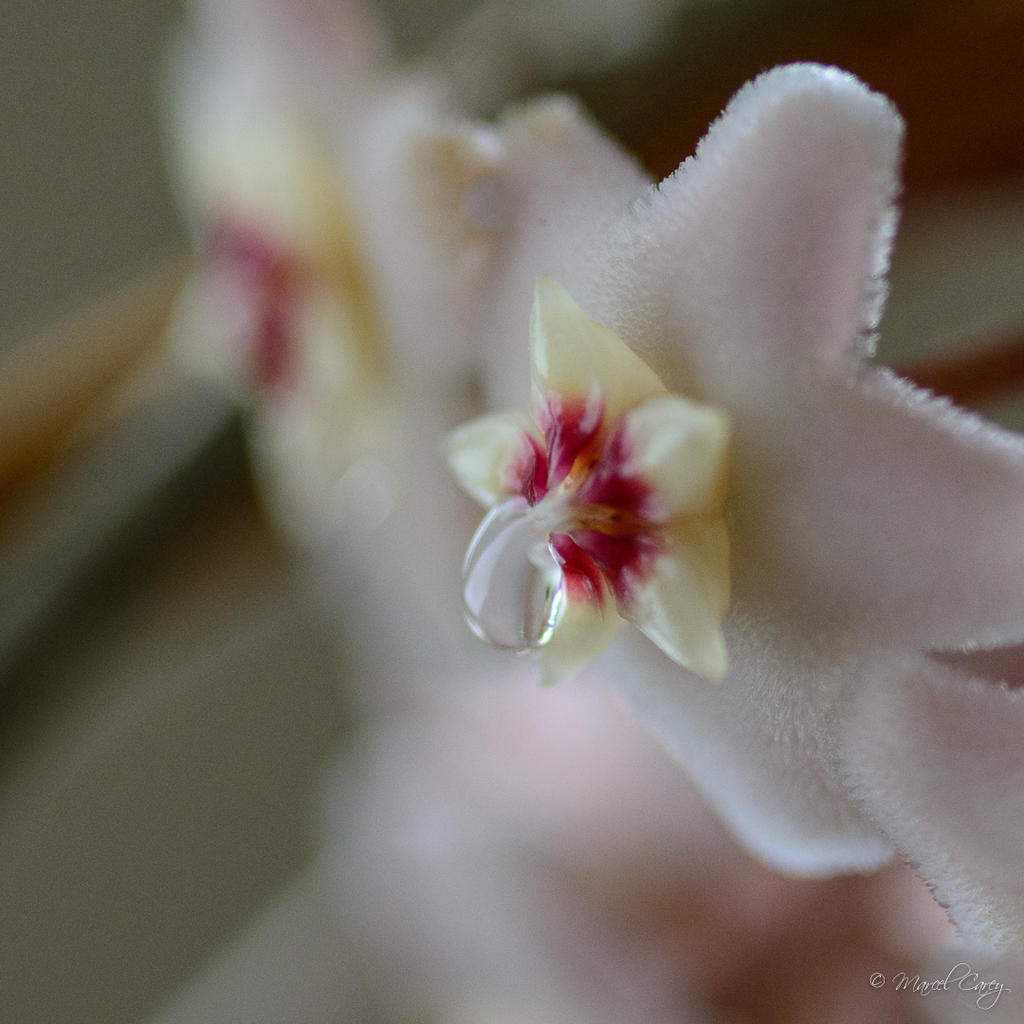 _N713945.jpg