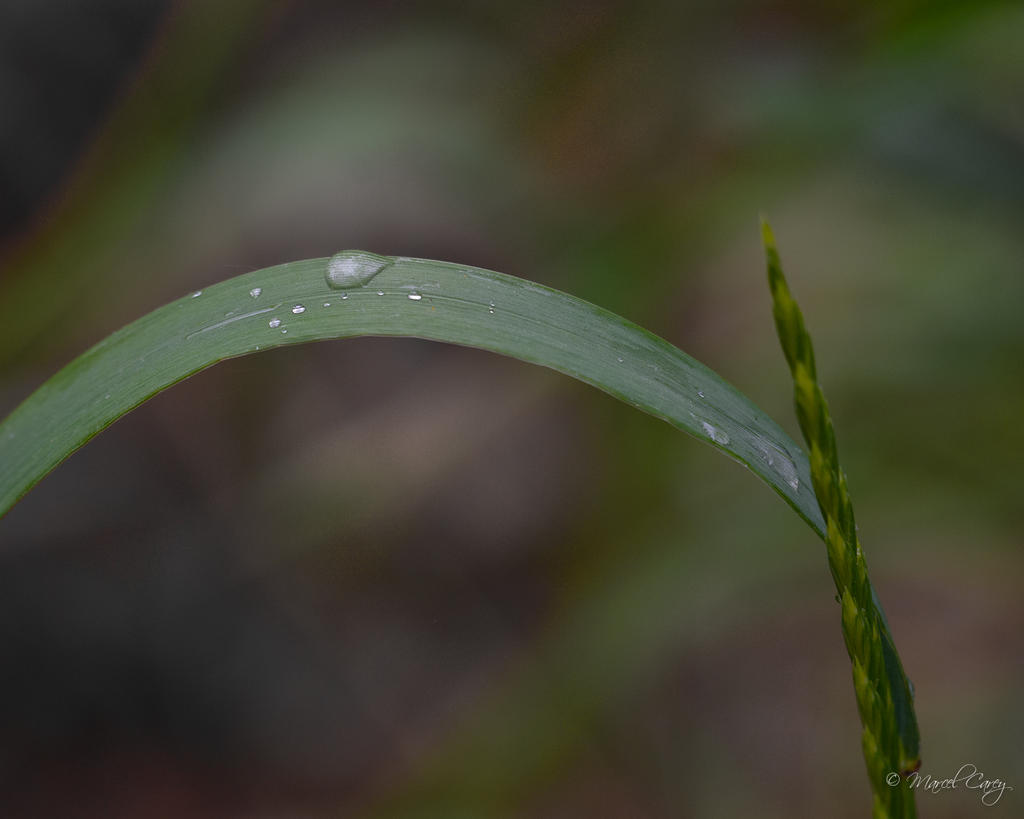 _N714186.jpg