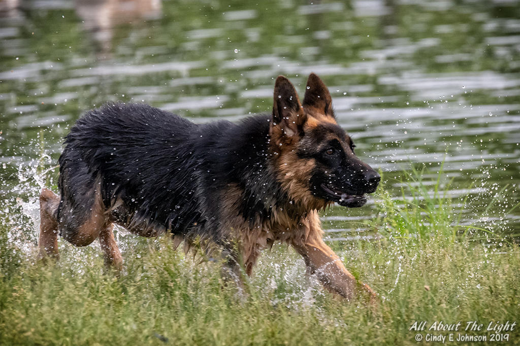 _NIK0750 low res.jpg