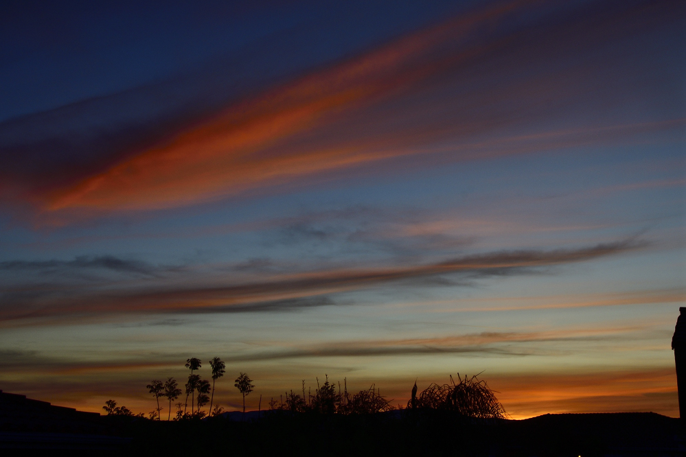 _ROY0079_00001_01.jpg