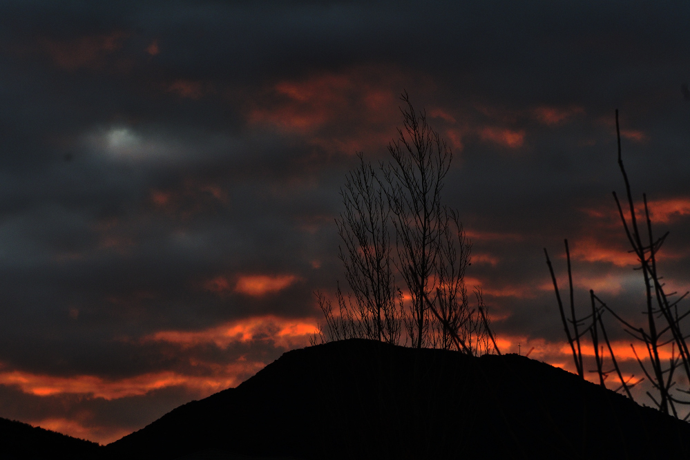 _ROY0092_00001_01.jpg