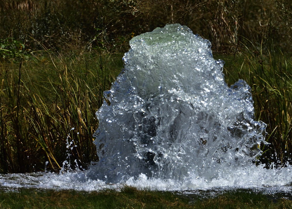 _ROY0139_00001.jpg