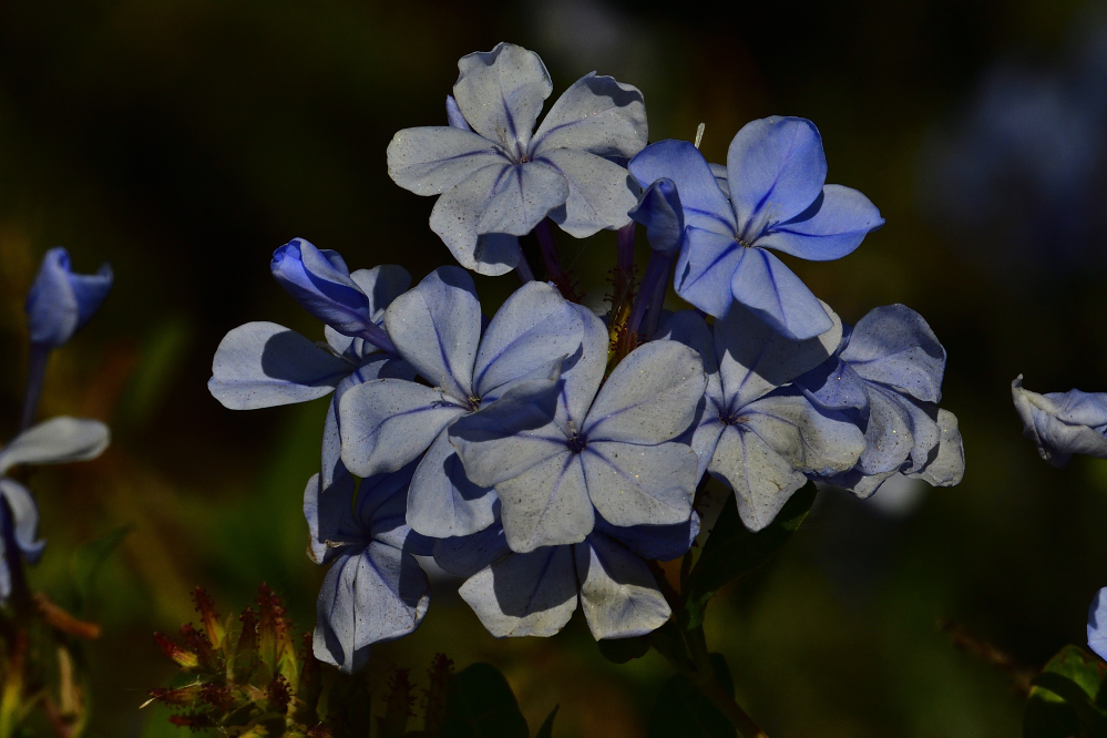 _ROY0153_00001.jpg