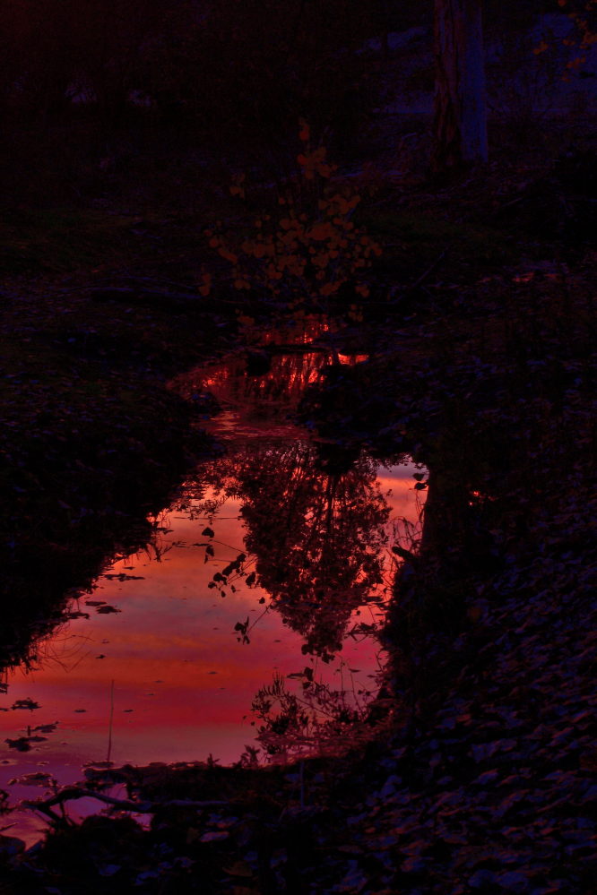 _ROY0179_00001.jpg