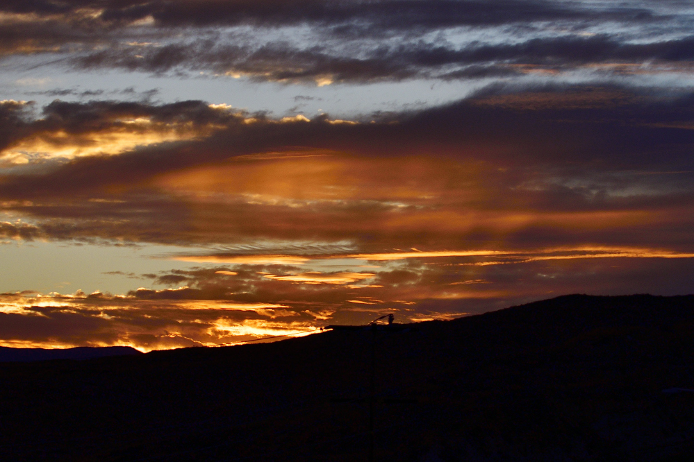 _ROY0244_00001.jpg