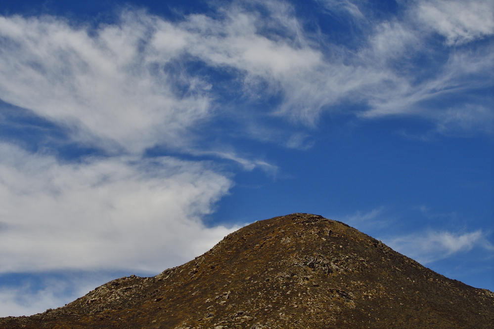_ROY0248_00001.jpg