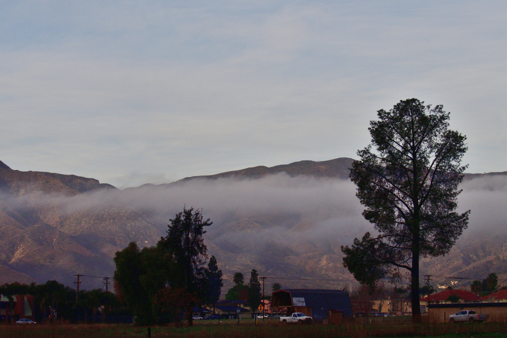 _ROY0273_00001_01.jpg