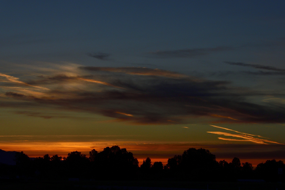 _ROY0299_00001.jpg