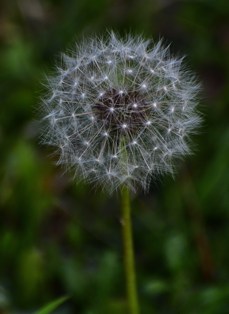 _ROY0433_01.jpg