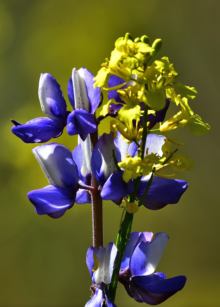 _ROY0603_00001.jpg