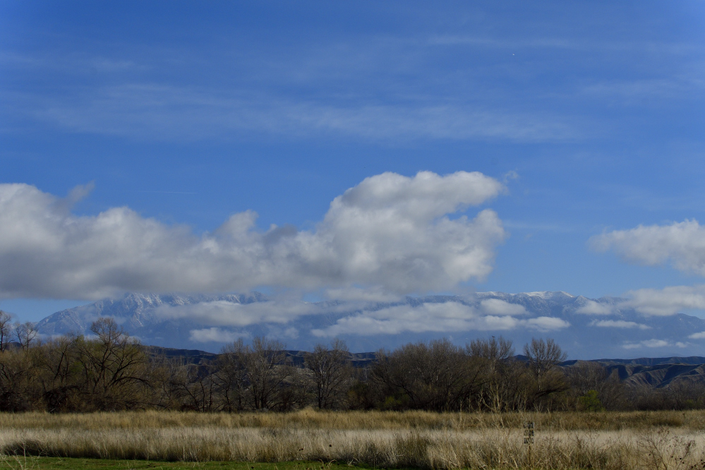 _ROY0650_01.JPG