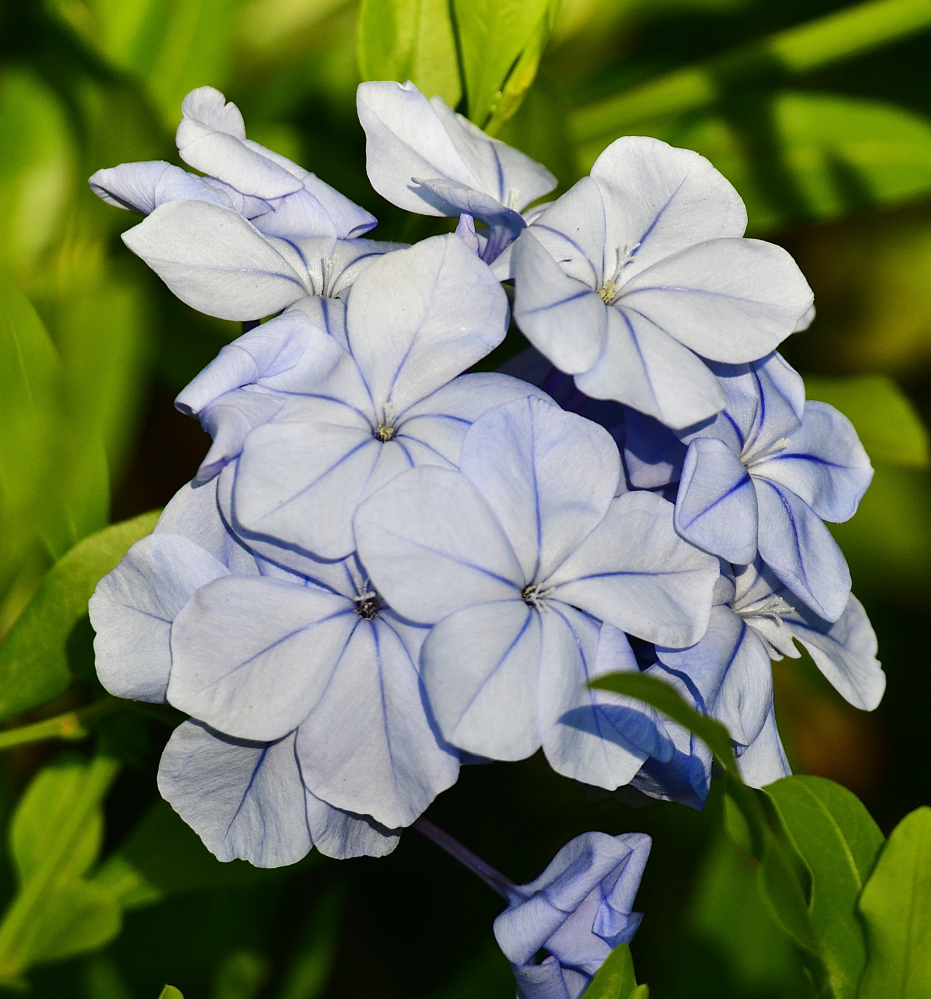 _ROY0686_00001.jpg